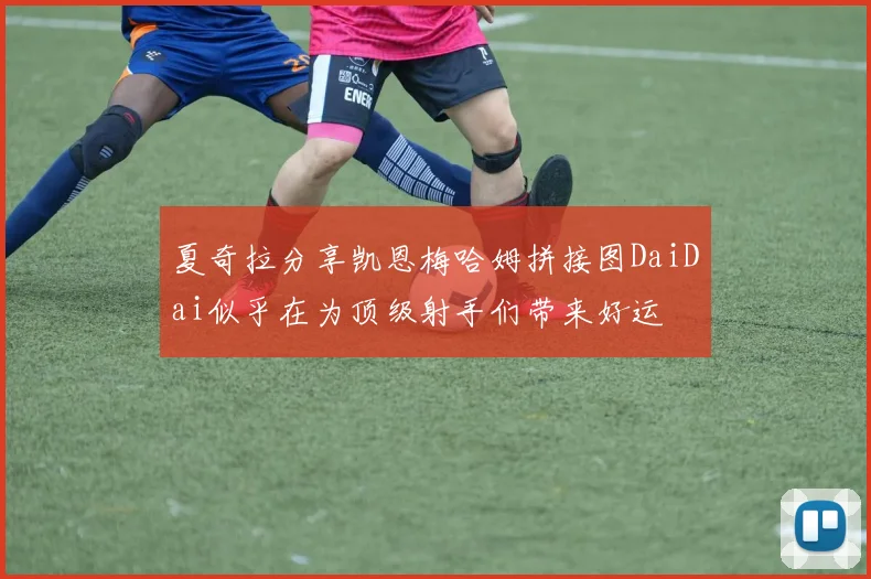 夏奇拉分享凯恩梅哈姆拼接图DaiDai似乎在为顶级射手们带来好运