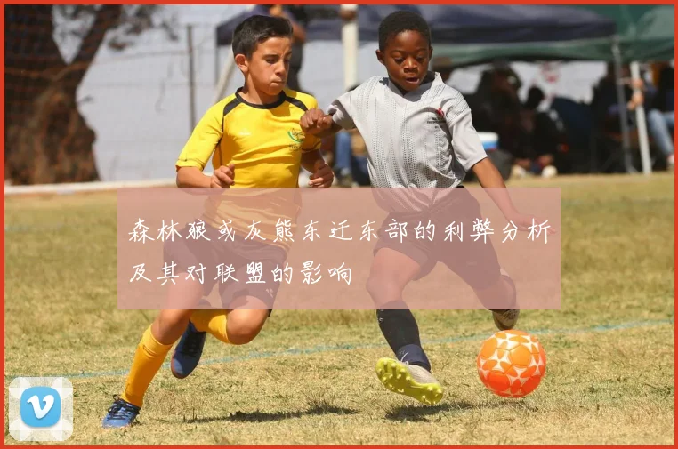 森林狼或灰熊东迁东部的利弊分析及其对联盟的影响