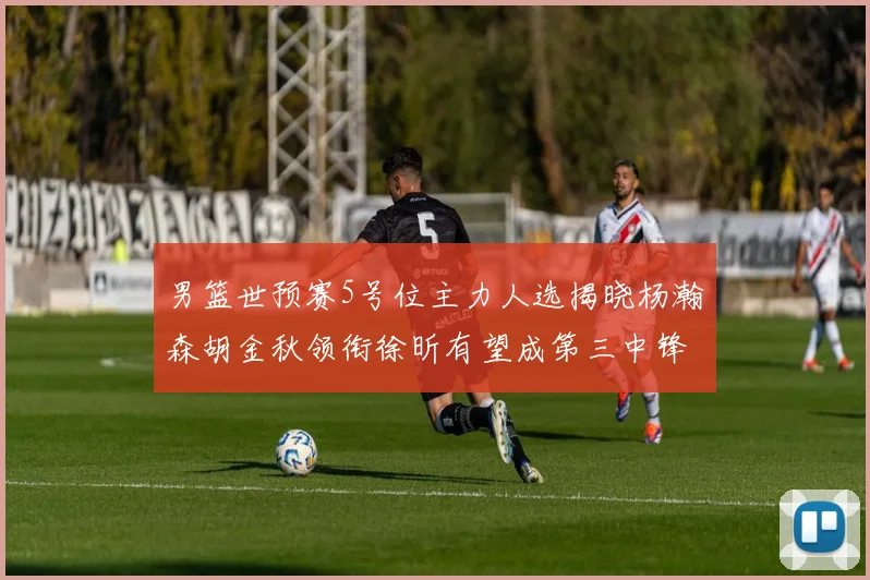 男篮世预赛5号位主力人选揭晓杨瀚森胡金秋领衔徐昕有望成第三中锋
