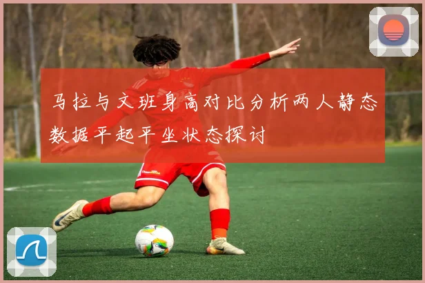 马拉与文班身高对比分析两人静态数据平起平坐状态探讨