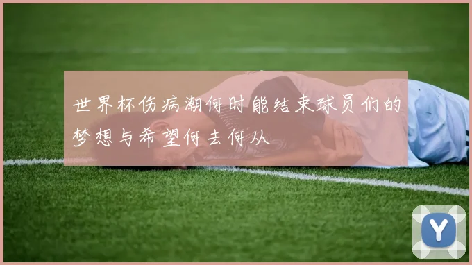 世界杯伤病潮何时能结束球员们的梦想与希望何去何从
